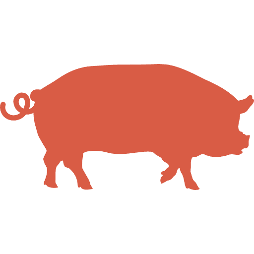 Carne de cerdo en Ica